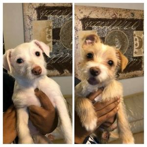 Meet your Posher, Gail